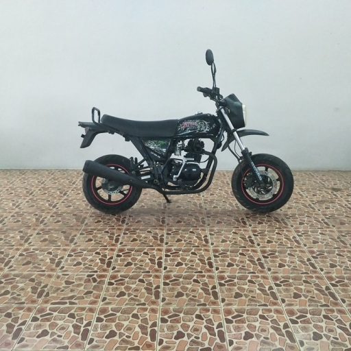 PONY 100