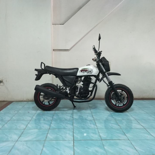 PONY 100