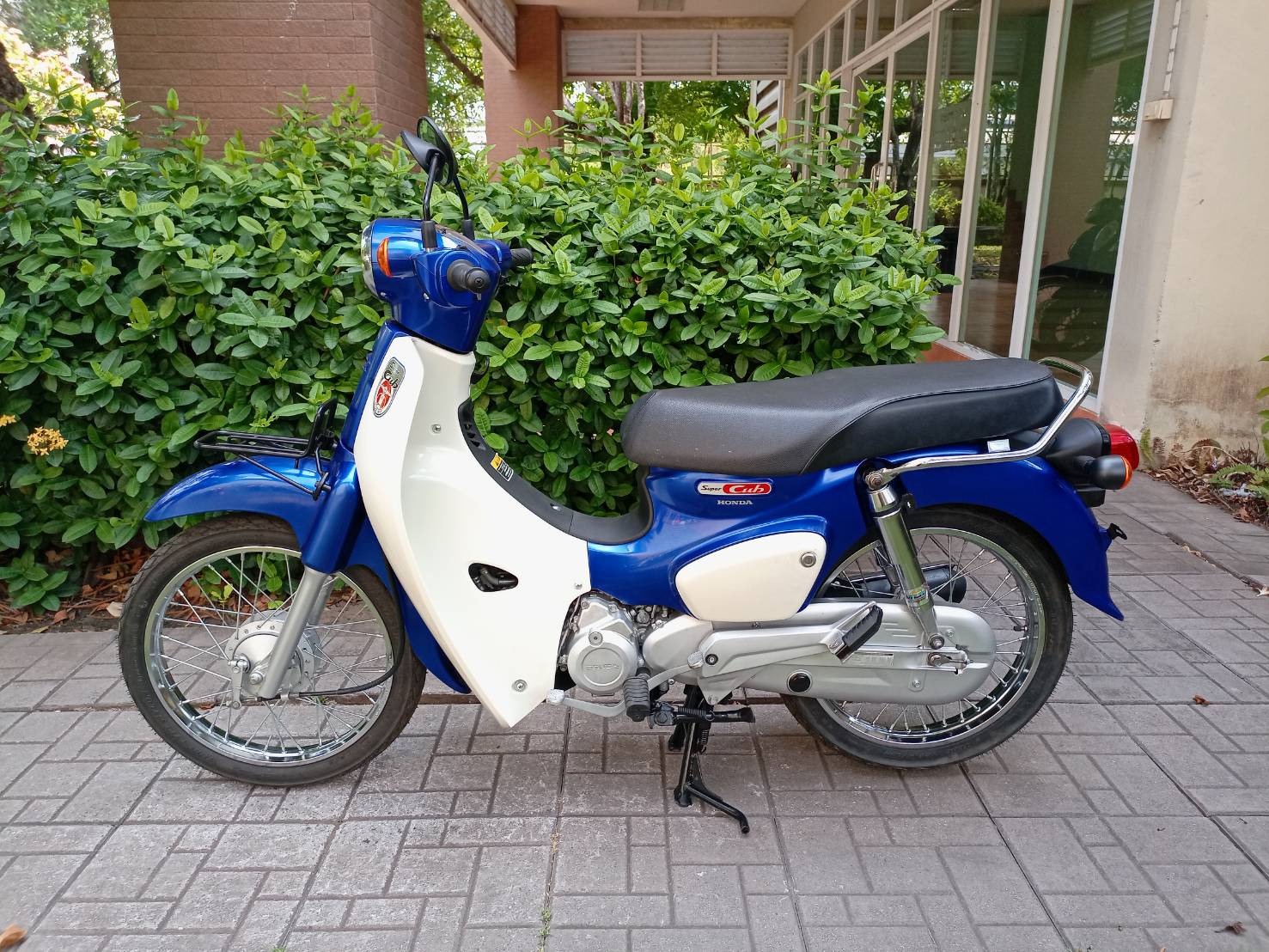 Super Cub สตาร์ทมือ ดรัมเบรก