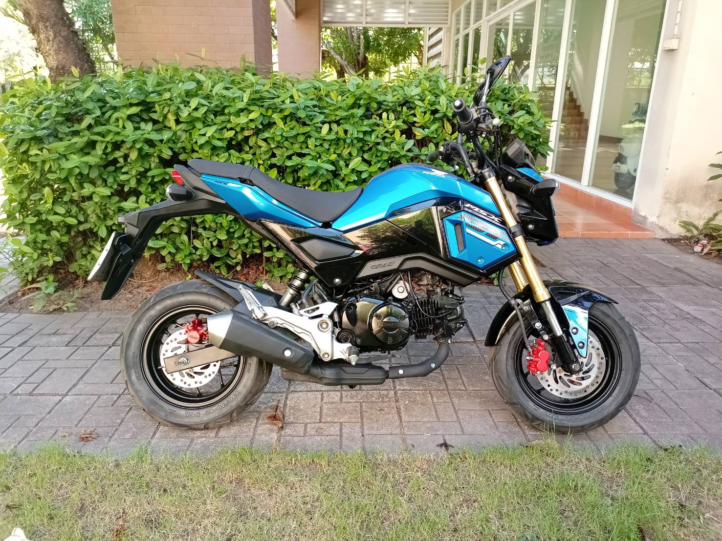 MSX125