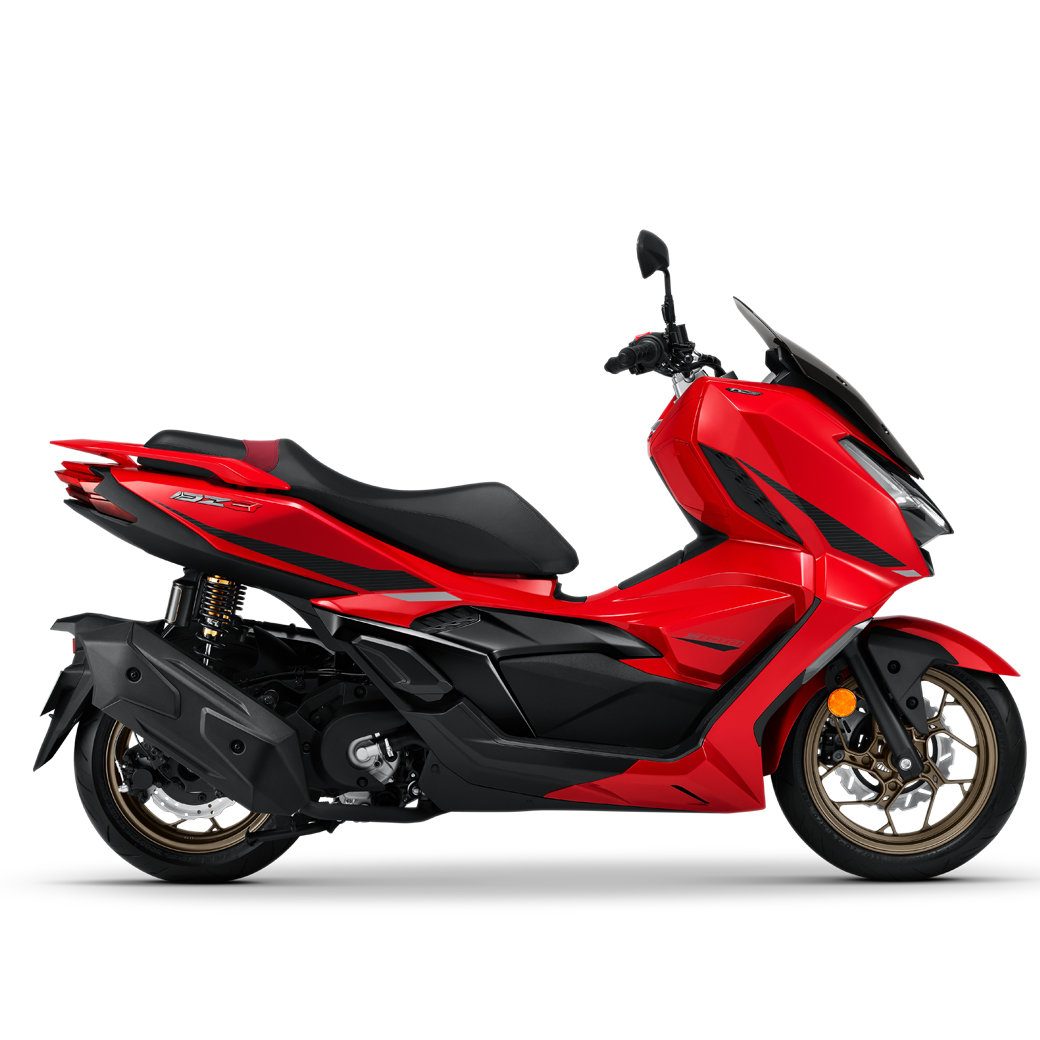 NEW  DZ3  SPORT  