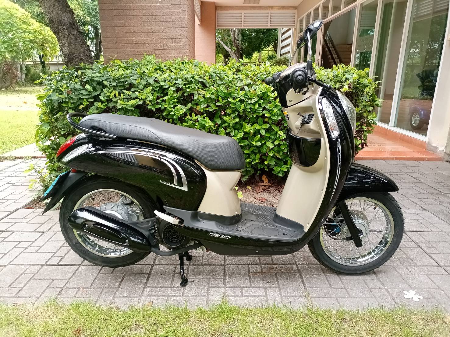 Scoopy i