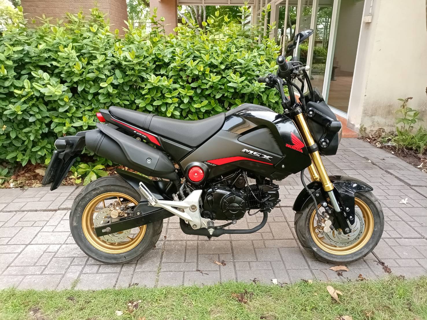 MSX125